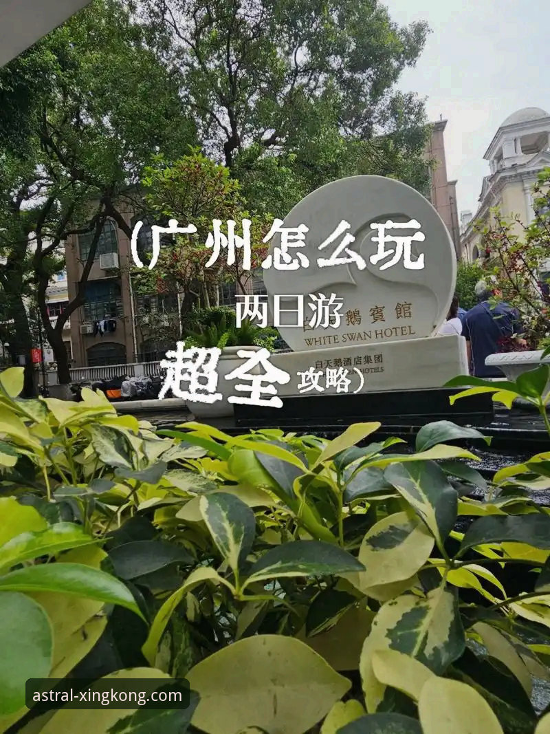 星空怎么样 星空体育平台使用指南:从新手到达人的完整攻略